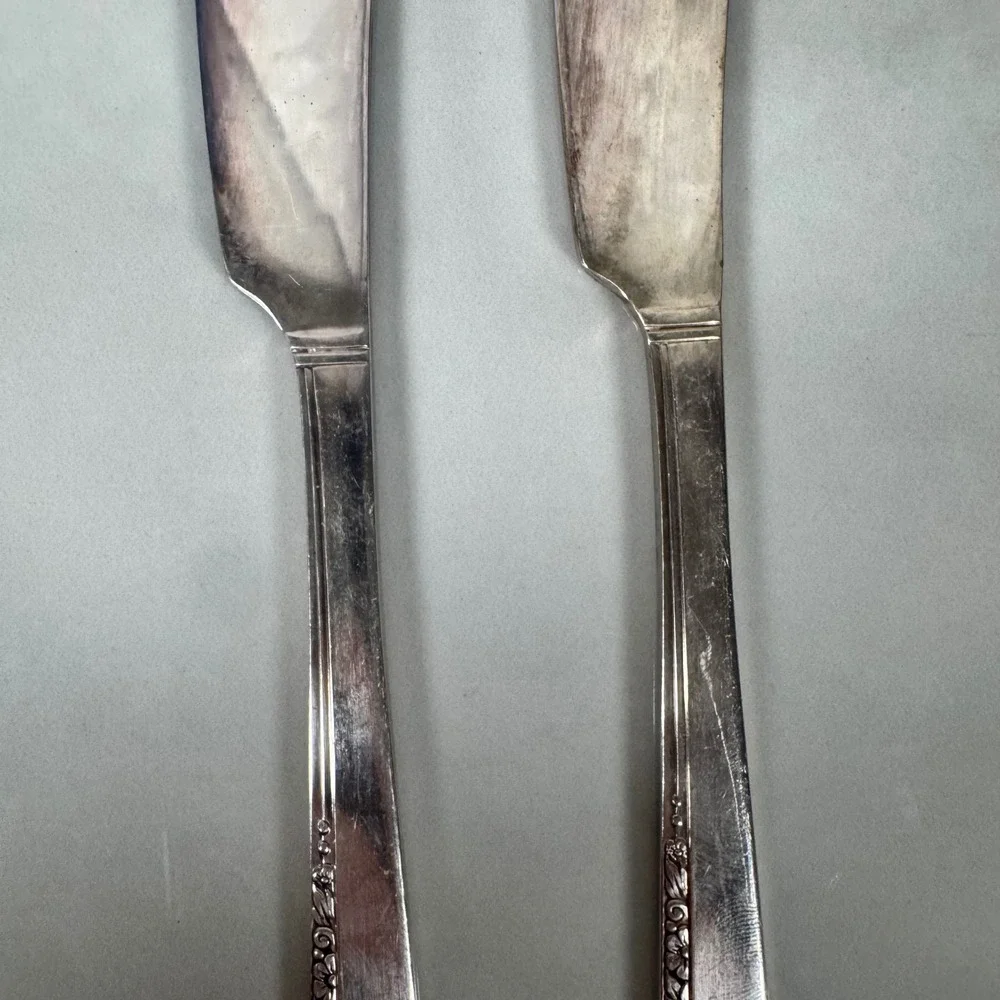 Set of‎ 2 Oneida Nobility Plate Silver Plated Butter Spreader Knife Caprice